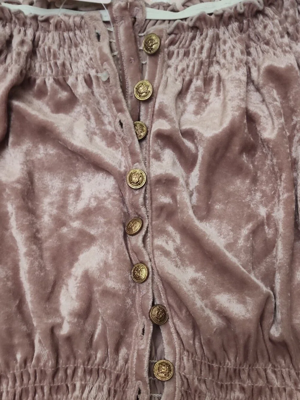 NWT LIZ LISA 🎀 Mauve Velvet Off-Shoulder Crop Top Front Button Open